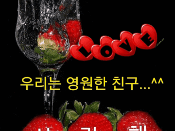 내가 당신을 사랑하는 이유