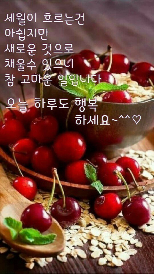 내 사랑이 참 좋던 날