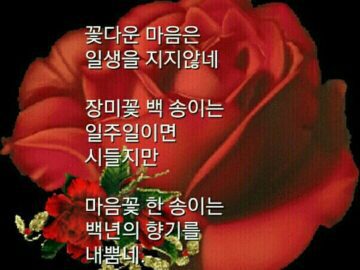 ◆ 모든 일이 잘 풀릴 것입니다 ◆