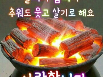 ◆ 회심(回心) 돌이 마음 ◆