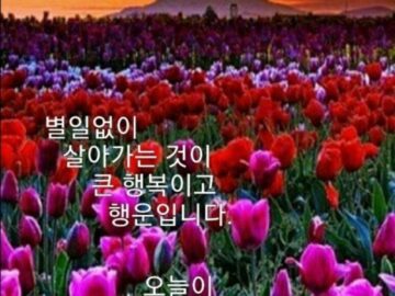 ◆ 여섯 가지 도둑 ◆