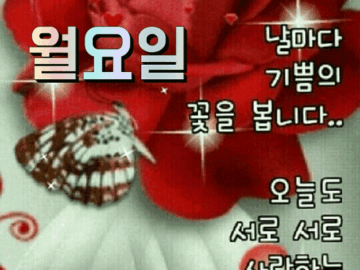 ◆ 당신은 소중한 사람입니다 ◆