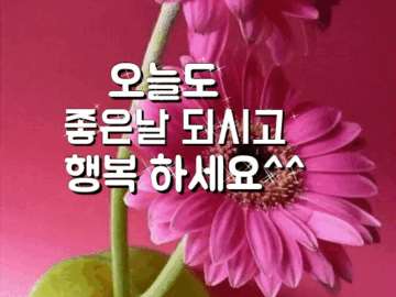 ◆ 하루 살이 ◆