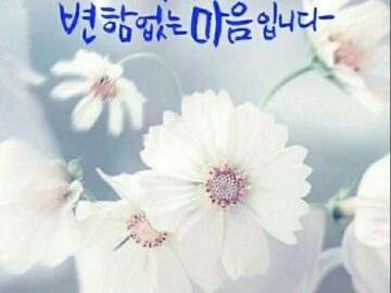 ◆ 그래 그러려니 하고 살자 ◆