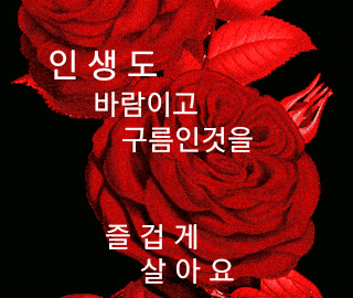 ◆ 투명한 사람이 참 좋다 ◆