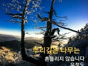 ◆ 이것이 지혜로운 삶이다 ◆