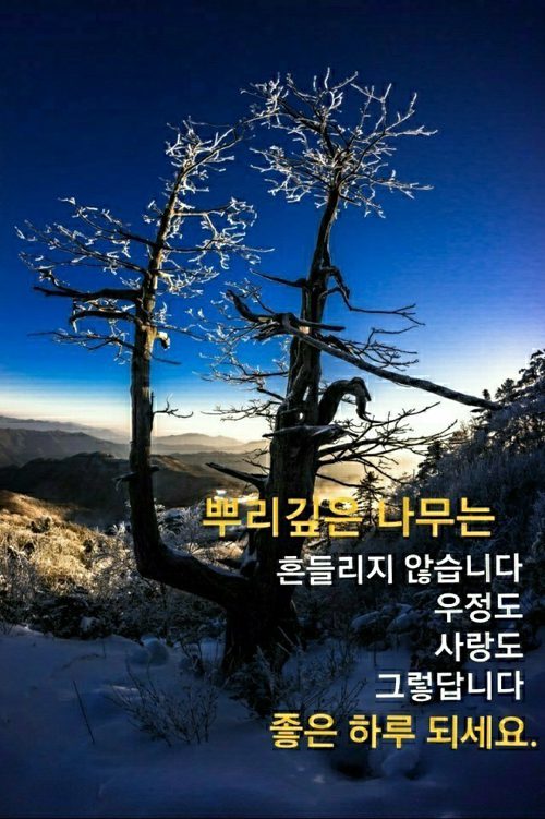 ◆ 이것이 지혜로운 삶이다 ◆