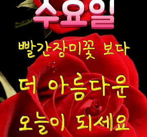 ◆ 나의 인연이 그런 인연이기를 ◆