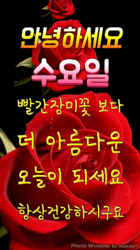 ◆ 나의 인연이 그런 인연이기를 ◆