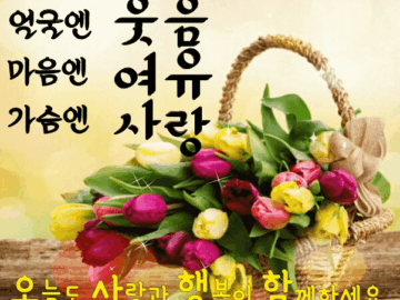 ◆ 내사랑을 어쩌겠습니까 ◆