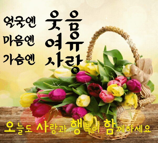 ◆ 내사랑을 어쩌겠습니까 ◆