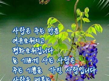 ◆ 2% 부족함이 행복을 준다 ◆