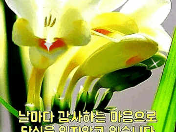 ◆ 아름다운 동반자 ◆