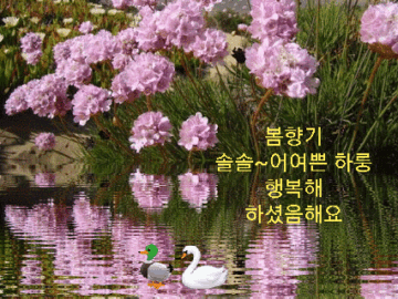 ◆ 소유가 아닌 빈 마음으로 ◆