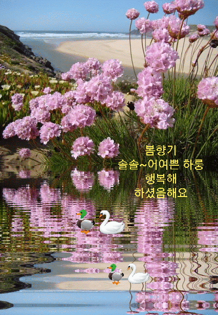 ◆ 소유가 아닌 빈 마음으로 ◆