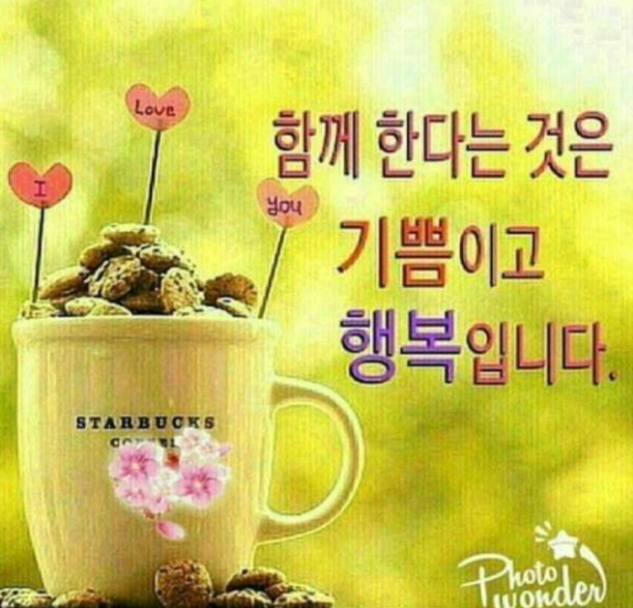 ◆ 1%의 행복 ◆