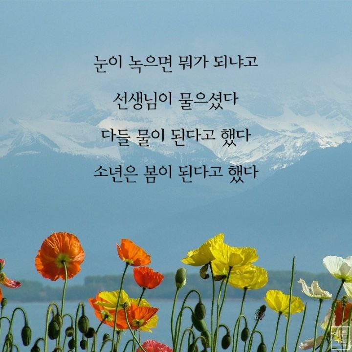 ◆ 오늘만이 내 삶의 전부 ◆