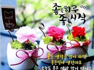 ◆ 좋은 것이 좋은 것을 부른다 ◆