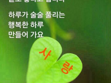 ◆ 아름다운 인생을 위한 지혜로운 글 ◆