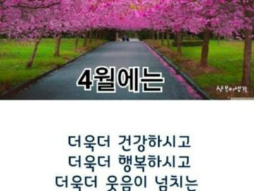 ◆ 묵상(默想) ◆