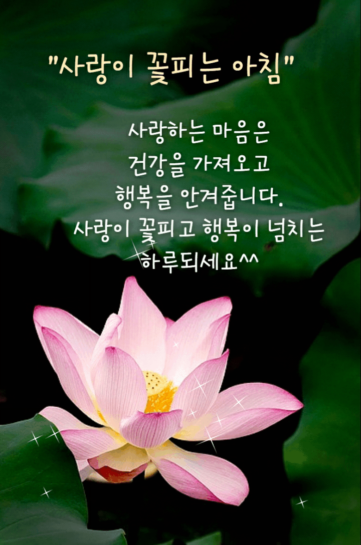 ◆ 오늘 아침, 소망합니다 ◆