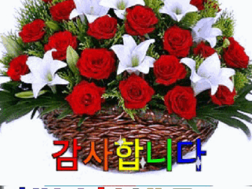 ◆ 내 인생은 내가 만든다 ◆