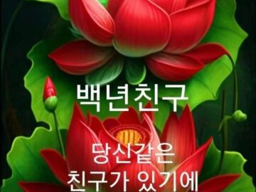 ◆ 오늘도 마음에 주문을 외웁니다 ◆