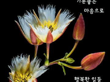 ◆ 삶이란 지나고 보면 ◆