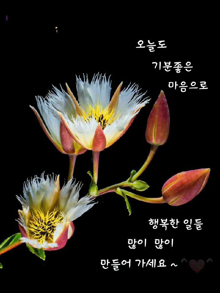 ◆ 삶이란 지나고 보면 ◆