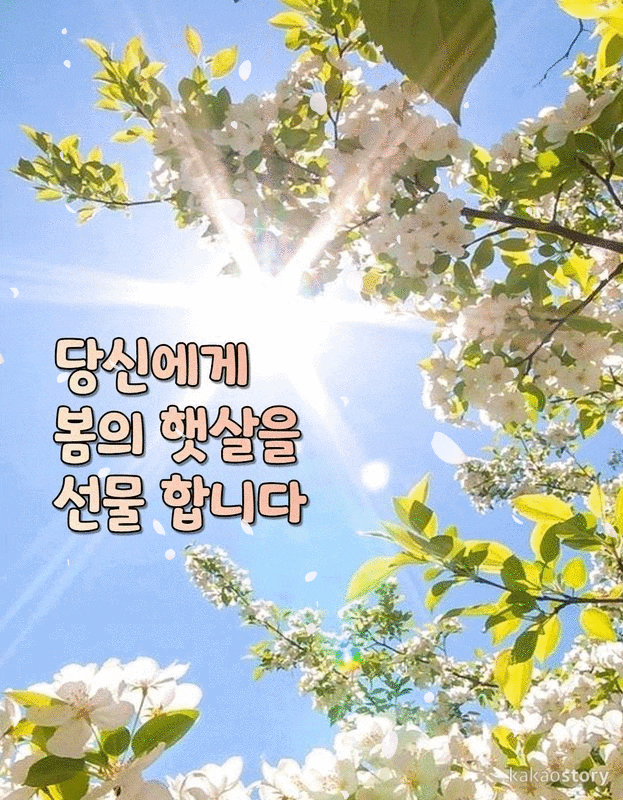 ◆ 마음에 두지 마라 ◆