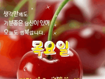 ◆ 내 인생은 내가 만든다 ◆