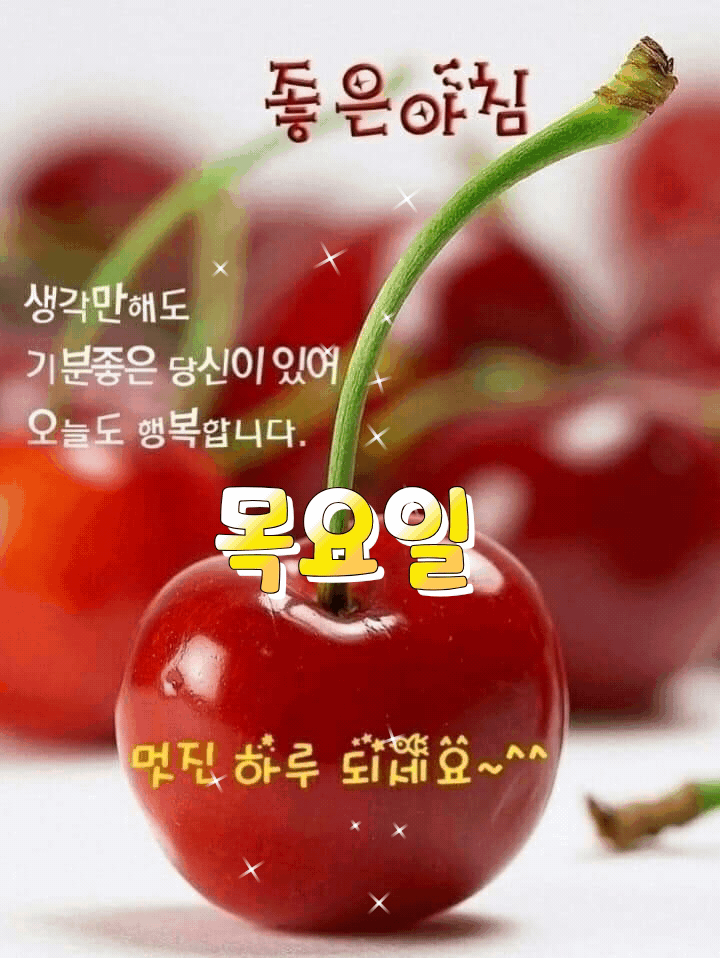 ◆ 내 인생은 내가 만든다 ◆