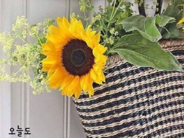 ◆ 너무 욕심 부리지 말자 ◆