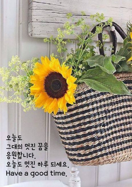 ◆ 너무 욕심 부리지 말자 ◆