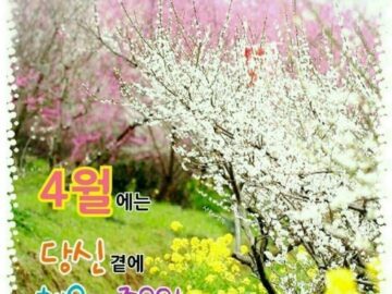 ◆ 용서 한다는 것은 ◆