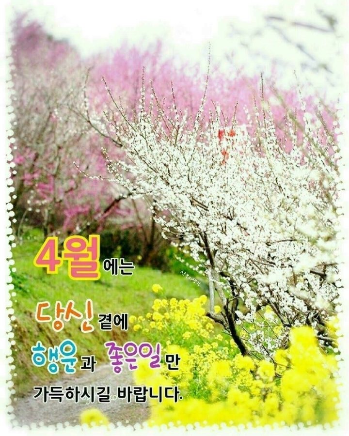 ◆ 용서 한다는 것은 ◆