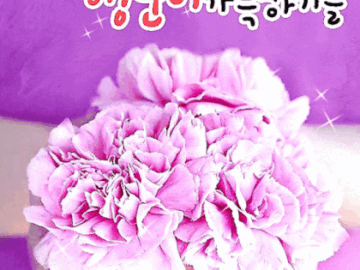 ◆ 많이 웃어서 행복한 날 ◆