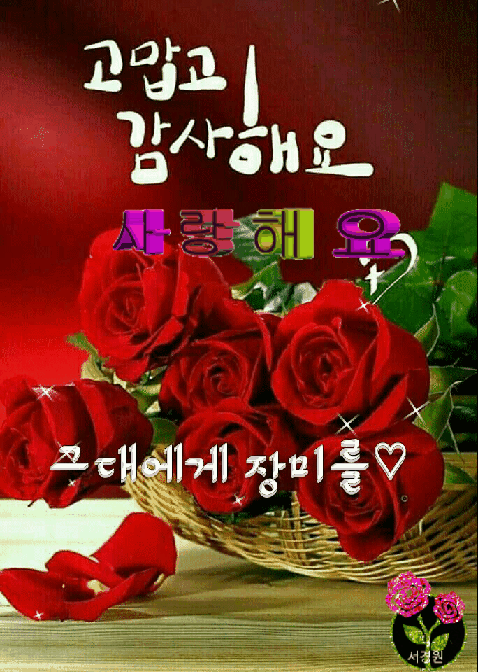 ◆ 우리 삶에 주는 충고 ◆