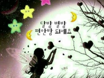 ◆ 소유가 아닌 빈 마음으로 ◆