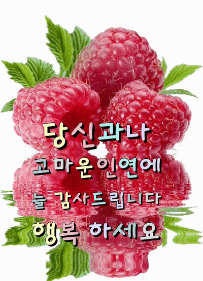 ◆ 마음에 두지 마라 ◆