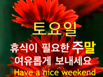 ◆ 보고픈 당신에게 ◆