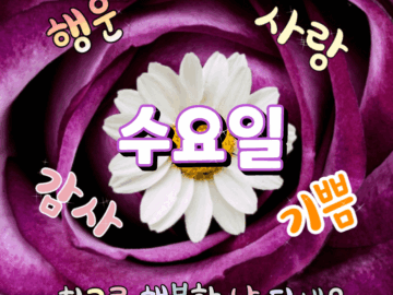 ◆ 혜민스님이 전해주는 삶의 10가지 지혜 ◆