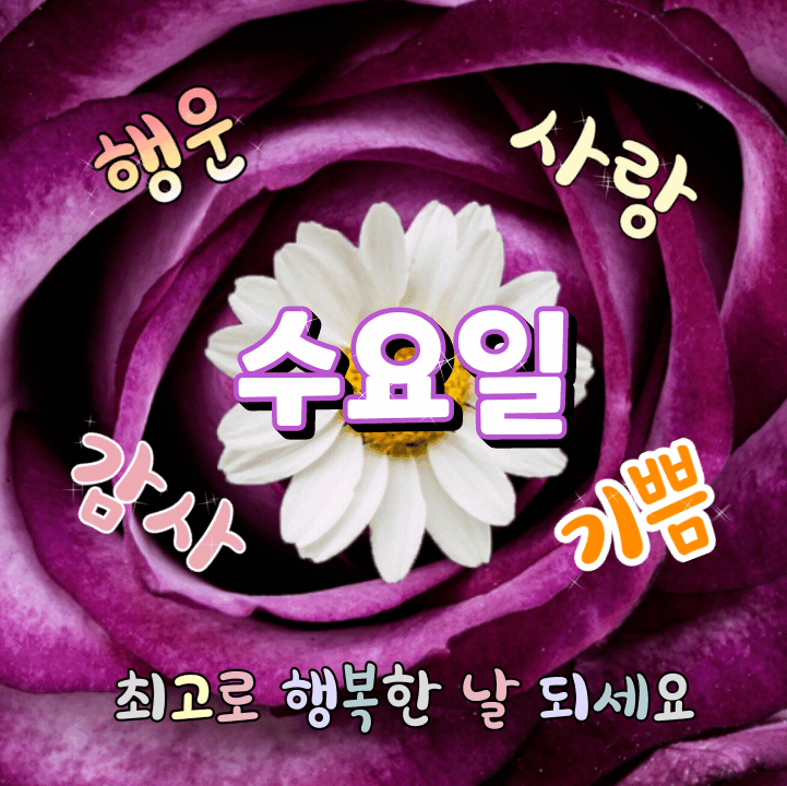 ◆ 혜민스님이 전해주는 삶의 10가지 지혜 ◆
