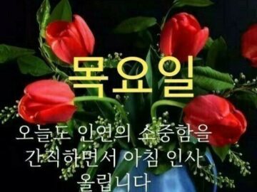 ◆ 미워하지 말고 잊어버려라 ◆