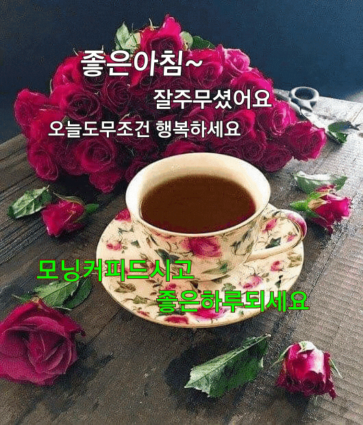 ◆ 마흔과 오십 사이 ◆