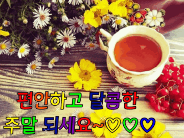 ◆ 삶의 과정이 행복인 것을 ◆