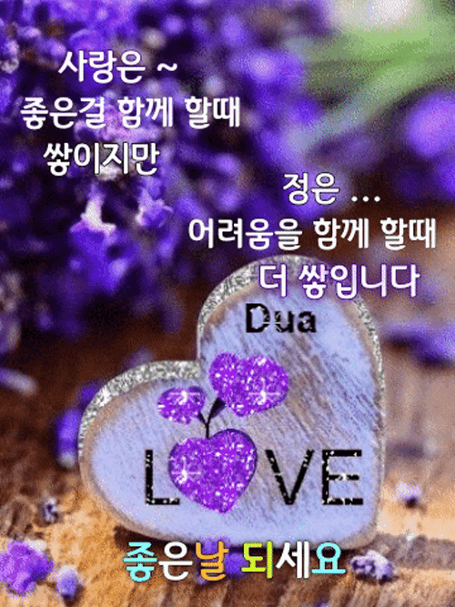 ◆ 오늘도 마음에 주문을 외웁니다 ◆