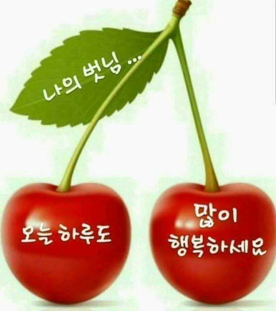 ◆ 그렇게 살아가리라 ◆