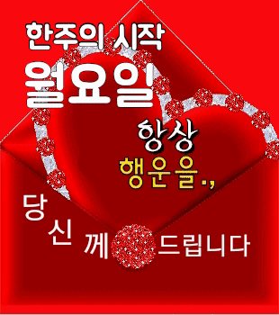 ◆ 인연은 한번 밖에 오지 않는다 ◆