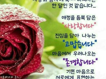 ◆ 세월아 천천히 가자 ◆